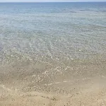 Al Mare N22